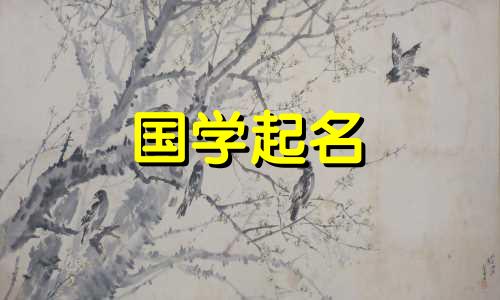 如何取一个好听的名字避免双音节押韵