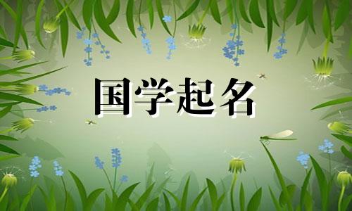 新颖且有教养的男孩名字。牛年出生的名字的命名技巧。