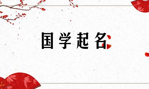 更加仙气酷炫的二字网名,以及听起来可爱又具有软妹个性的二字昵称。