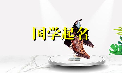 宠物店起好名字的原则和好独特的名字