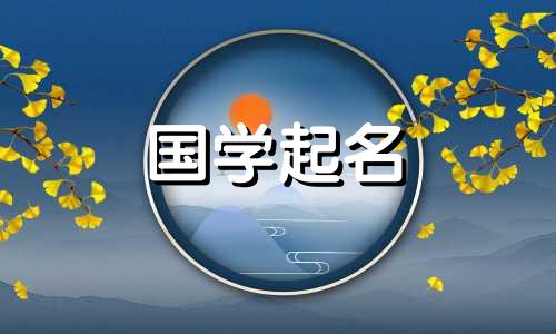 2020年农历10月28日出生的宝宝五行易经取名