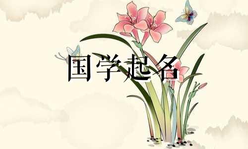 2020年农历十月初七出生的孩子楚辞名字大全