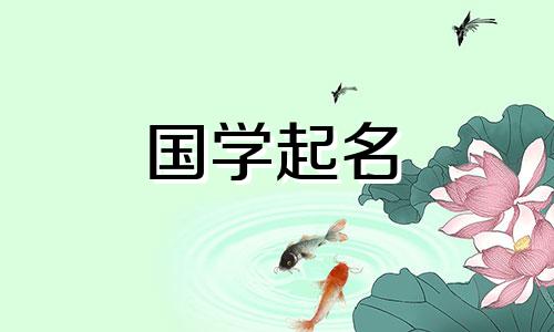 2021年2月出生的女宝宝的名字优雅又聪明