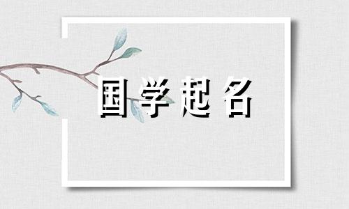 叶姓男孩的名字很好听。根据姓氏的起源来选择男孩的名字。