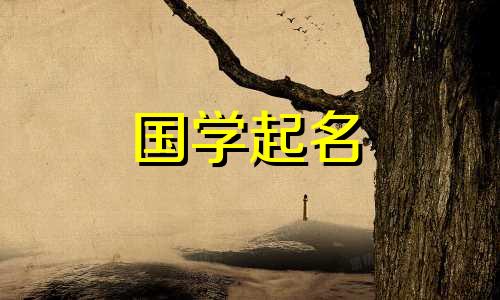 2020年腊月二十四给新生儿起好名字