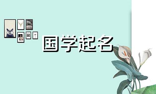 2020年农历11月29日出生的宝宝推荐五要素及名字