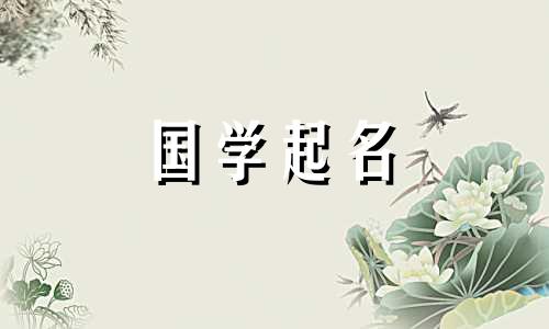 2020年农历9月11日出生的孩子的五行名字及属性