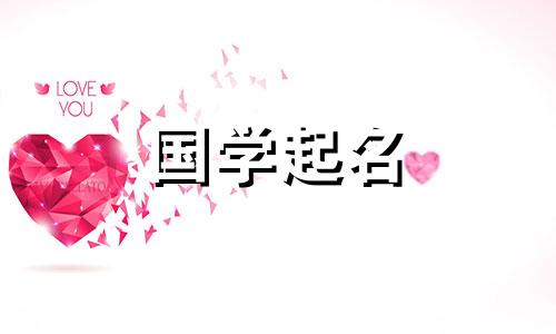 2020年农历11月13日出生的新生儿命理及名字