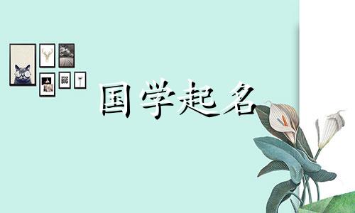 独特又好听的男孩名字。推荐的男孩名字。