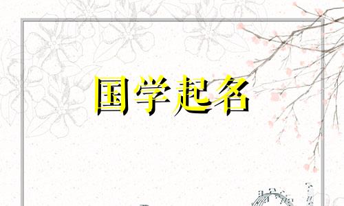 有哪些适合狗狗的可爱宝宝名字推荐？