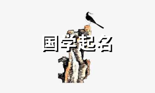 兰和兰哪个名字更好?兰更好。