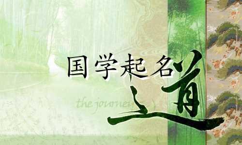 好听的英文ins账号昵称,超有创意的英文qq名