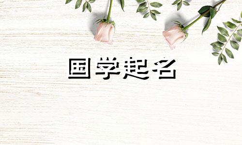 高端、大气、富有诗意的软装店名字