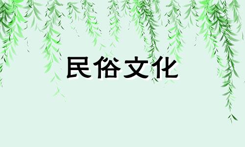 最受欢迎的三个车号是哪三个？车牌号的总和是多少？