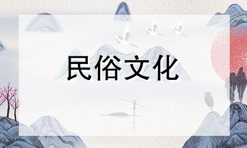 是奇数好还是偶数好?最受欢迎的 5 个车号是什么?