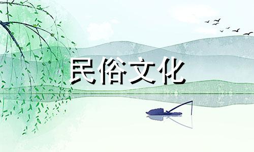 您应该选择什么号码作为您的车牌？ 7个最不吉利的车牌