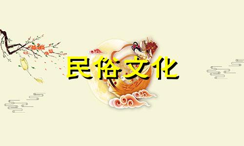 摩托车车牌号81L61,车牌号好坏,查车主