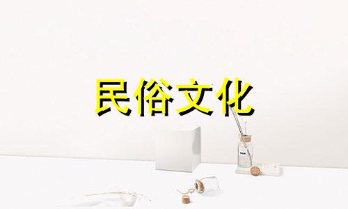 与猫有缘的女人命运如何？