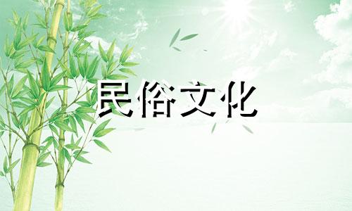 如何照顾粉红玫瑰粉红玫瑰的友谊之花