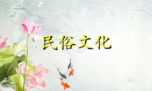 聚宝盆里最旺的是什么？
