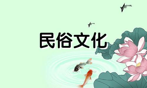 吊兰放在窗台边最茂盛的地方哪里最好？