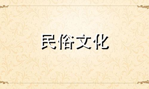 家里有凤子窝会带来好运吗？