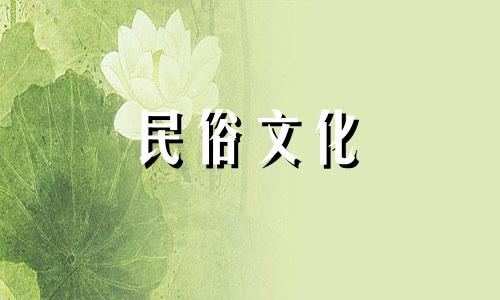 2001年出生,20岁,2021年学术发展可飙升,学术运动方兴未艾