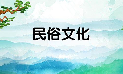 财位最适合摆放什么植物？君子兰可以快速增加你的收入。