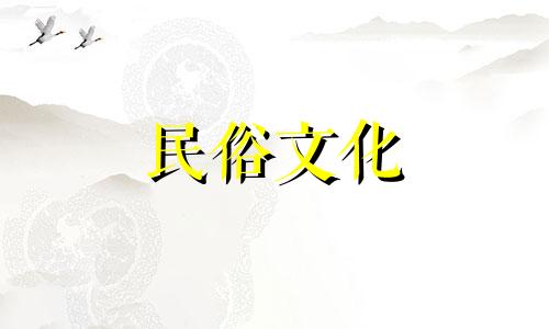 家里有一个蜂箱意味着什么？它象征着财富。