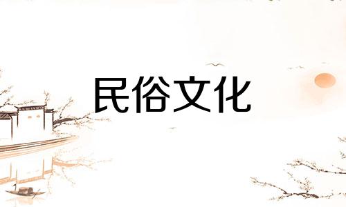 办公室里适合摆放什么植物可以招财呢?