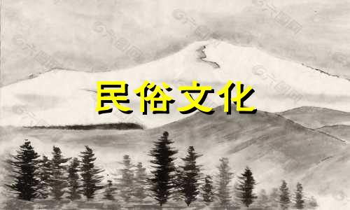 将金钱龟放在通风良好的地方。