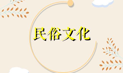 什么孩子长得像皇帝，额头圆？