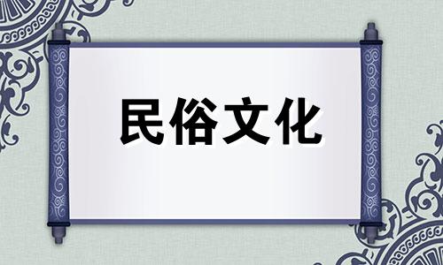 阳台仙人掌十大招财辟邪植物