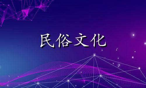 养金钱龟是奇数好还是偶数好？