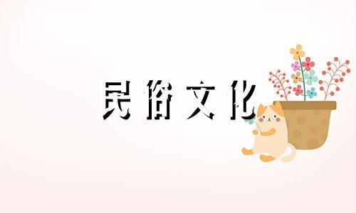 为什么不能娶一个根部伤痕累累的女人呢?