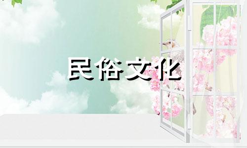 黑猫会招财吗?是否代表着吉祥的寓意呢?