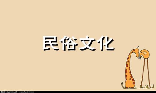 聚宝盆里的供品数量有限制吗？偶数也不错