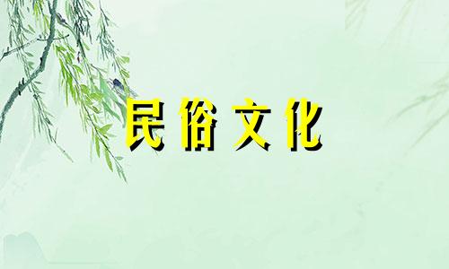 家里应该放什么植物可以招财呢？发财树？