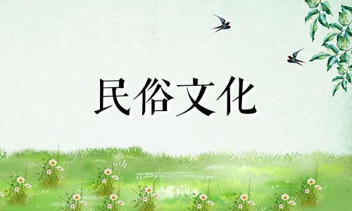 沙中土和石榴木相容吗？沙中土和石榴木相容吗？