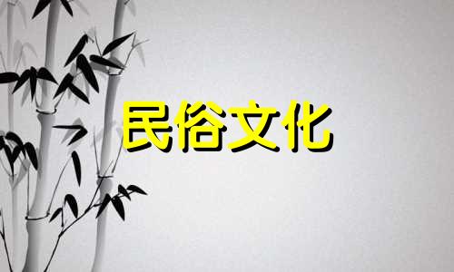 办公室里适合摆放什么植物？最好放置绿萝。