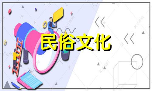 我可以多养一些茶宠吗?最好只有一个。