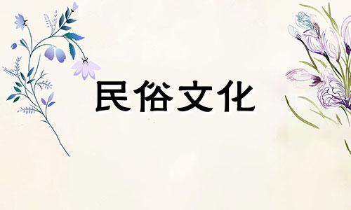 绿萝可以在家种吗？最好放在阳台上