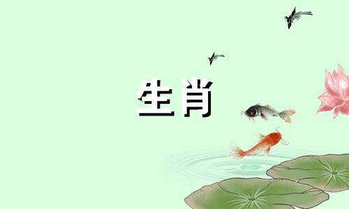 难道1988年属龙女注定要二婚? 1988年属龙女的第二次婚姻会幸福吗?