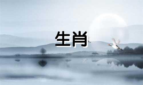 属龙的人2024年健康运势不错,那么2024年如何提升健康运势呢?