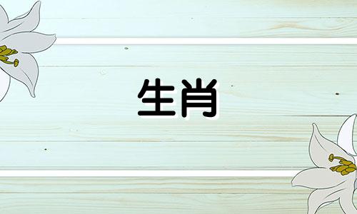 生肖属龙的人与哪些人有好运呢?十二生肖属龙的人最适合结婚的星座是什么?