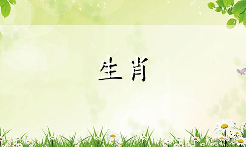 属蛇和属猪的婚姻怎么样？属蛇人如何解决婚姻不好的问题？