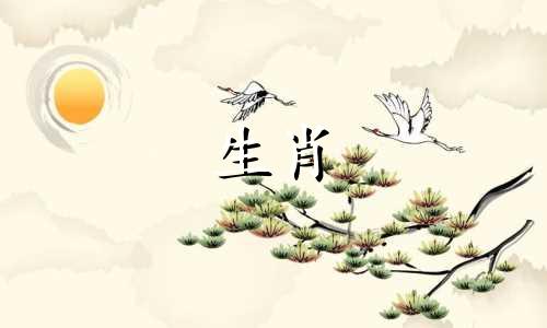 两个猪年出生的人可以在1995年结婚吗?与猪年出生的人结婚要注意什么?