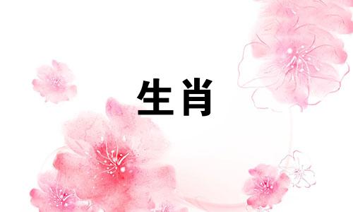 属猪人的手机号码666好不好?属猪人的手机号码最旺的结局是什么?