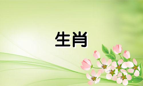 属马的人今年几岁了？属马的贵人是谁？