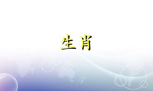 1995年出生的猪和1994年出生的狗相配吗？猪和狗真的永远不会结束吗？